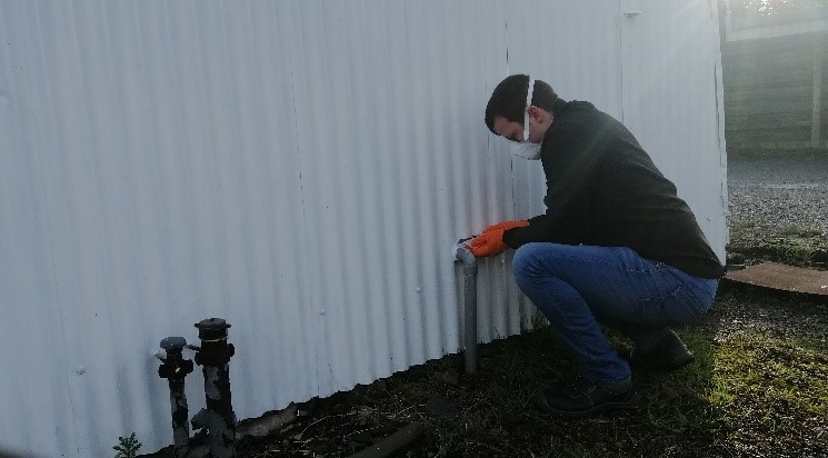 Picture11
