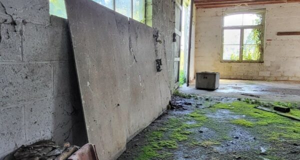 Asbestverwijdering asbestverwijdering